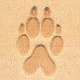 Pictorial Stamp（Bear Track)