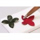 Round & Conus Shape Leather Flowers Modeling Tool