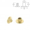 Chicago Screws - Brass Plated