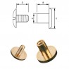 Chicago Screws - Solid Brass